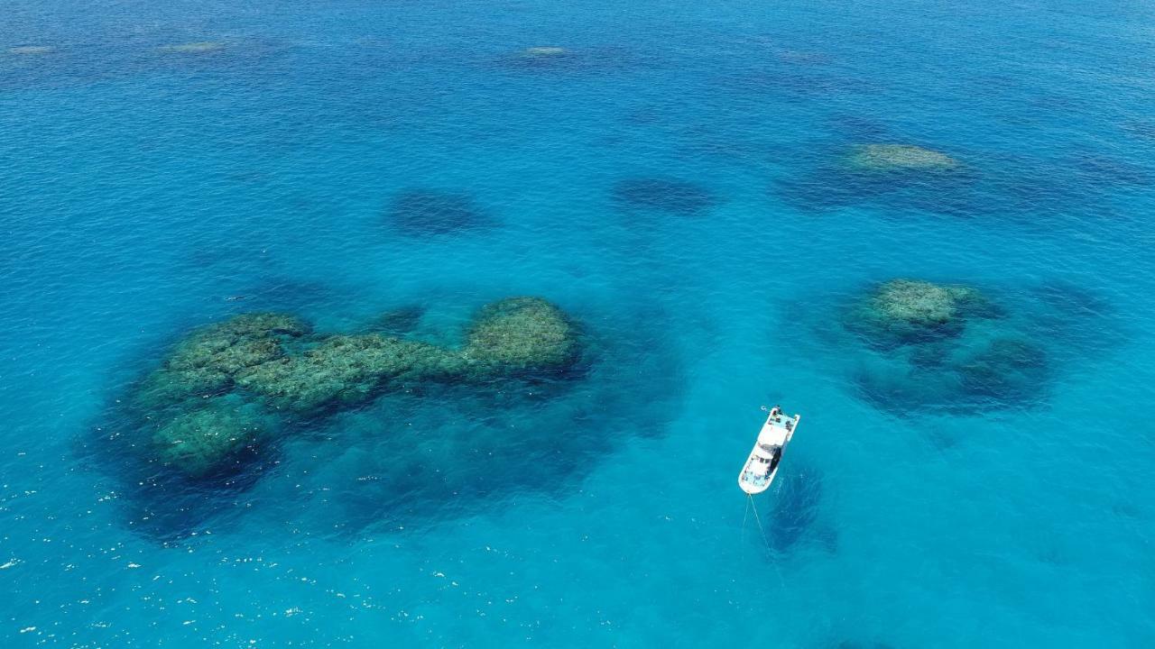 Umi No Nakama Ξενοδοχείο Ishigaki  Εξωτερικό φωτογραφία